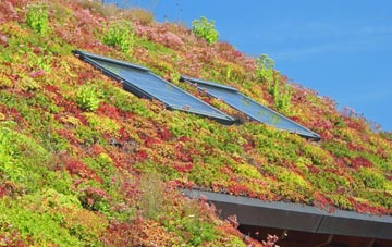 Kilmichael Of Inverlussa living roof systems