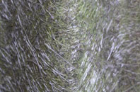 Kilmichael Of Inverlussa fibreglass roof work